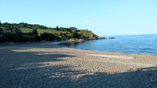 Sana beach