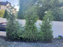 Raul Landscaping & Handyman LLC - Photo 7 - Car repair in Bloomfield, NJ, Brooklyn