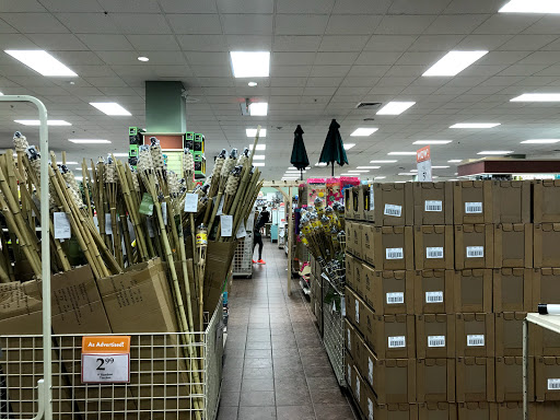 Home Goods Store «Christmas Tree Shops», reviews and photos, 5450 Brandywine Pkwy, Wilmington, DE 19803, USA
