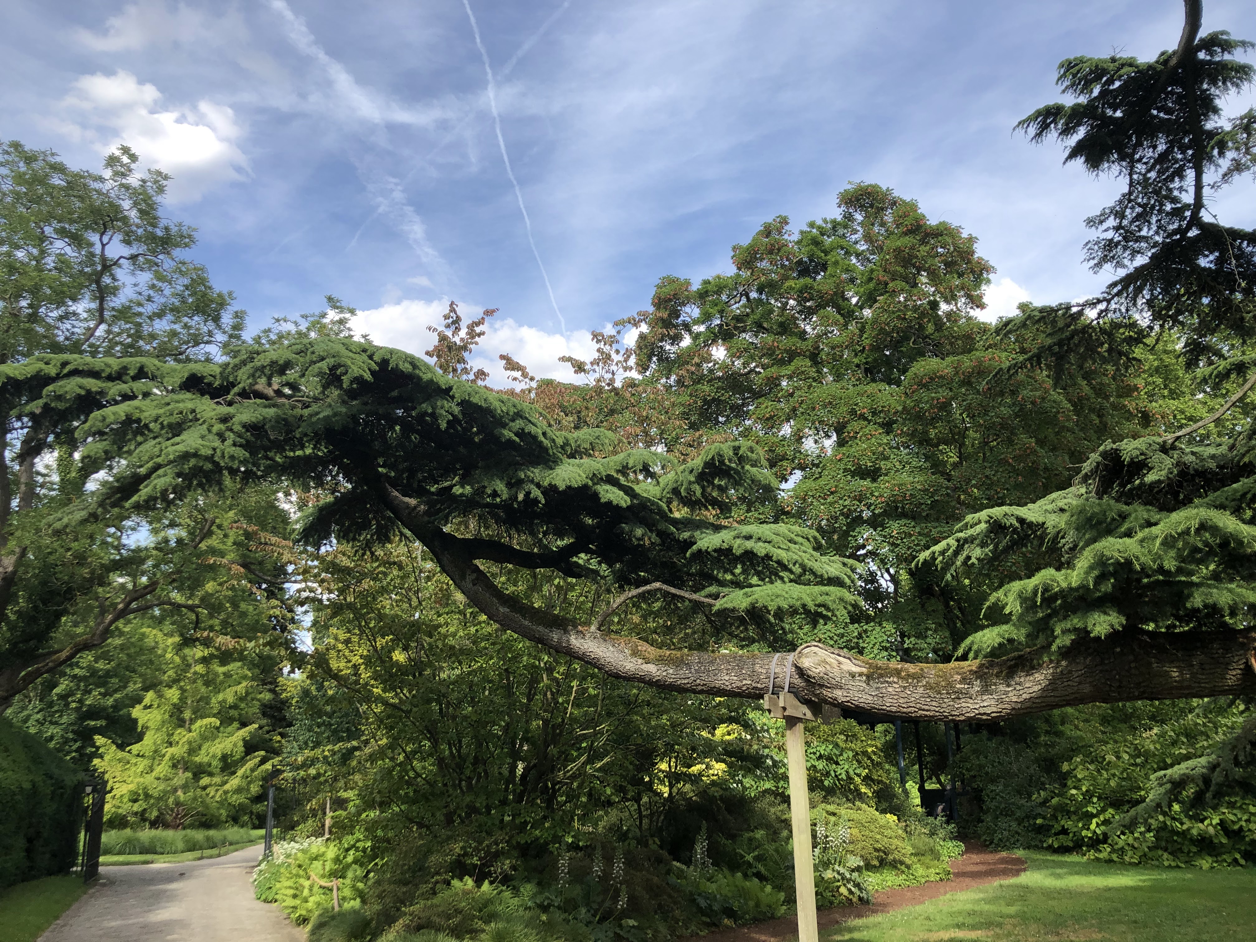 Photo n° 4 de l'avis de Denis.u fait le 18/06/2019 à 20:16