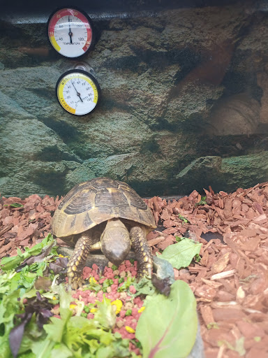 Pet Supply Store «Petco Animal Supplies», reviews and photos, 993 Branson Hills Pkwy, Branson, MO 65616, USA