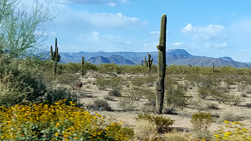 Nature Preserve «Cave Buttes Recreation Area», reviews and photos, N 7th St & E Happy Valley Rd, Phoenix, AZ 85024, USA