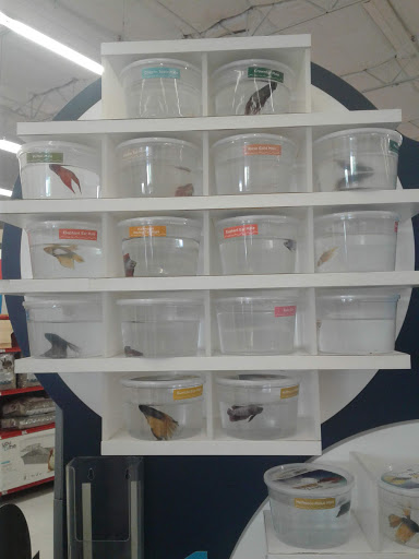 Electronics Store «Best Buy», reviews and photos, 2339 Claribel Rd, Riverbank, CA 95367, USA