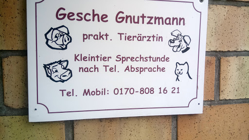 Gesche Gnutzmann Tierärztin unter Jübek, Schleswig-Holstein