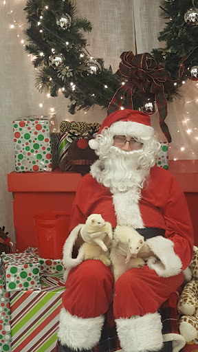 Pet Supply Store «PetSmart», reviews and photos, 73 RHL Blvd, South Charleston, WV 25309, USA