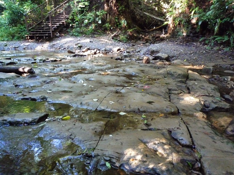 陣ケ下渓谷公園