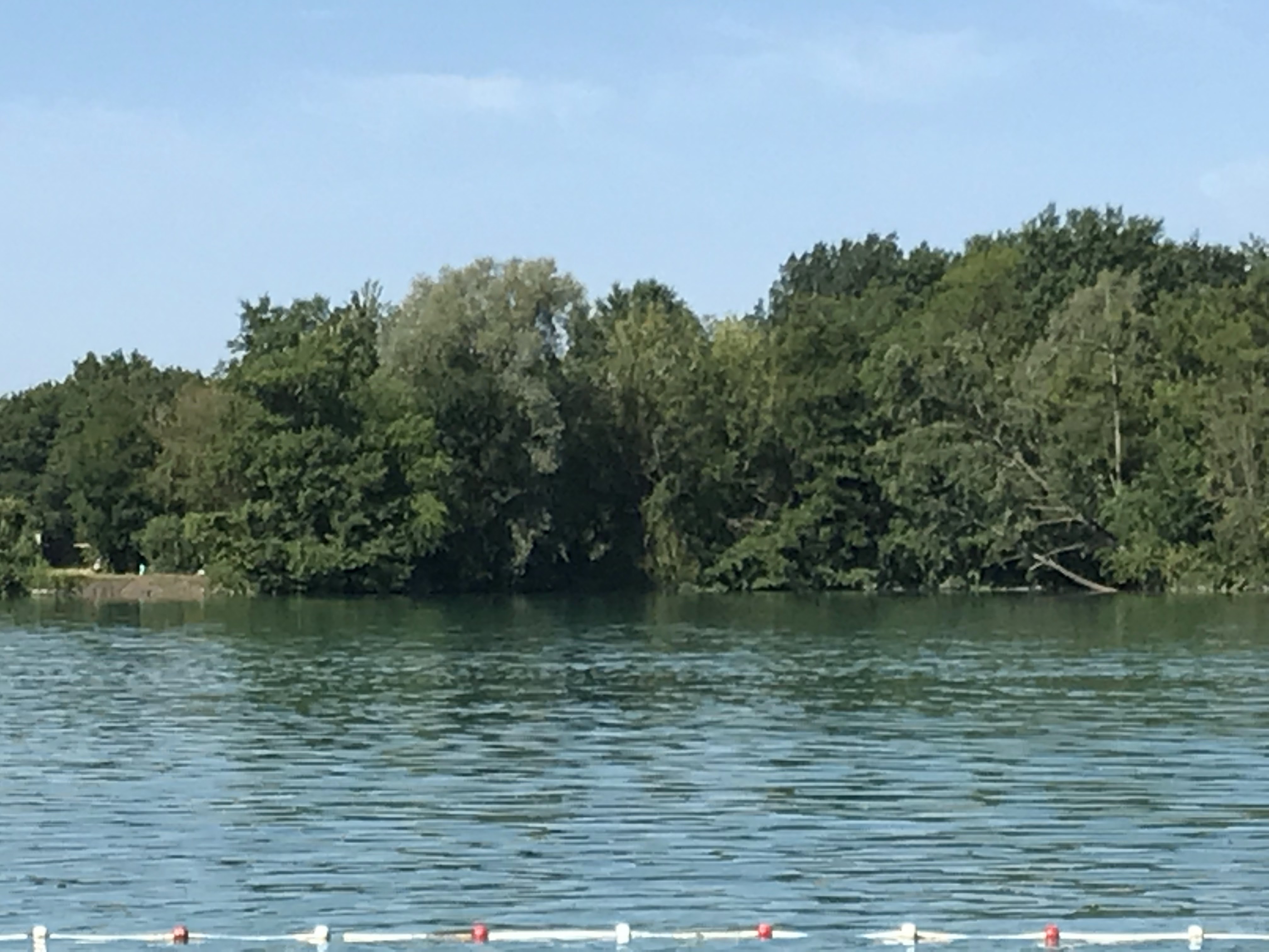 Photo n° 2 de l'avis de Marie.l fait le 27/08/2018 à 17:42