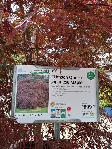 Tree Service «Polgar Tree Service & Removal LLC», reviews and photos