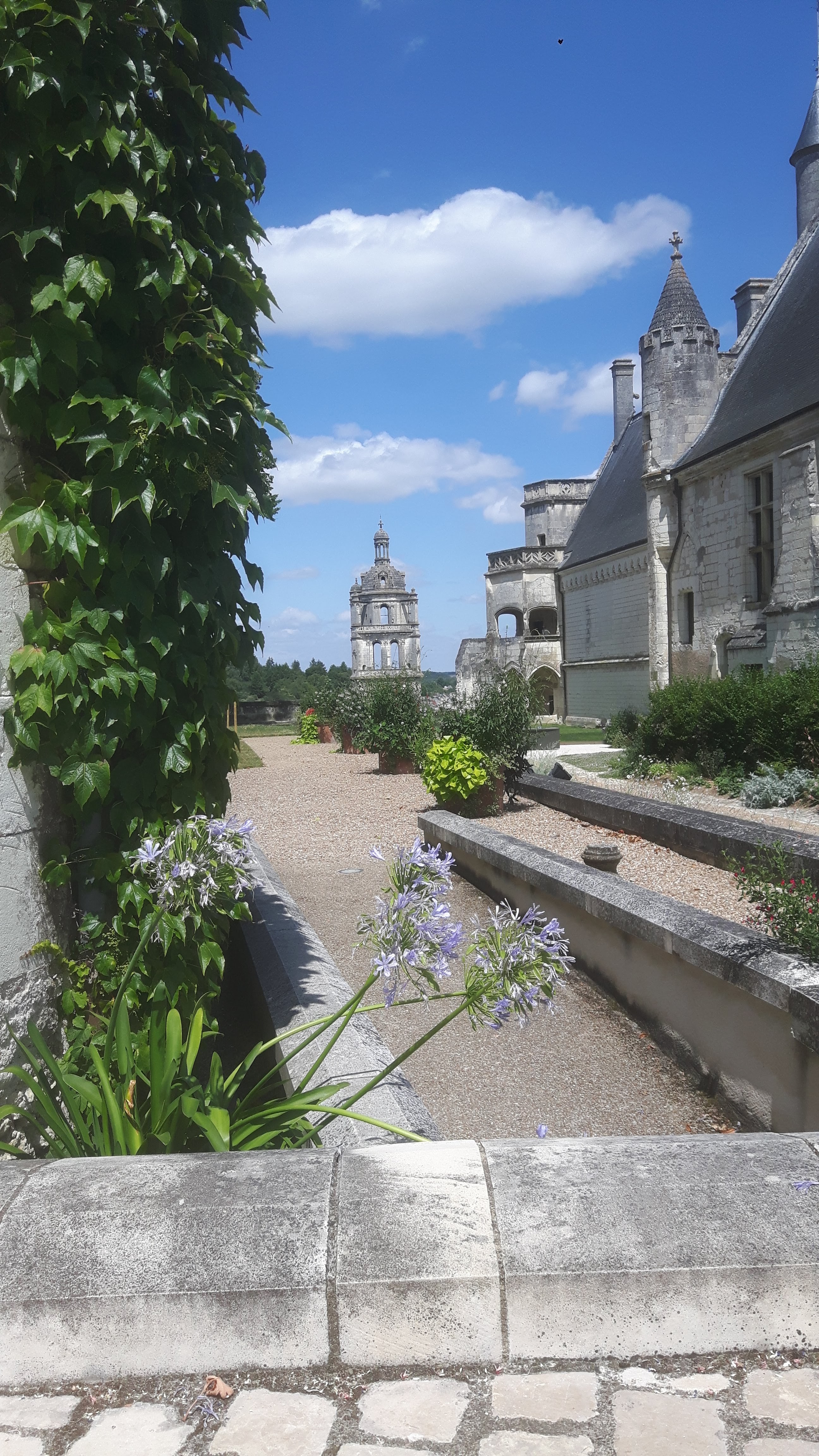 Photo n° 2 de l'avis de Raymond.e fait le 29/07/2018 à 12:56