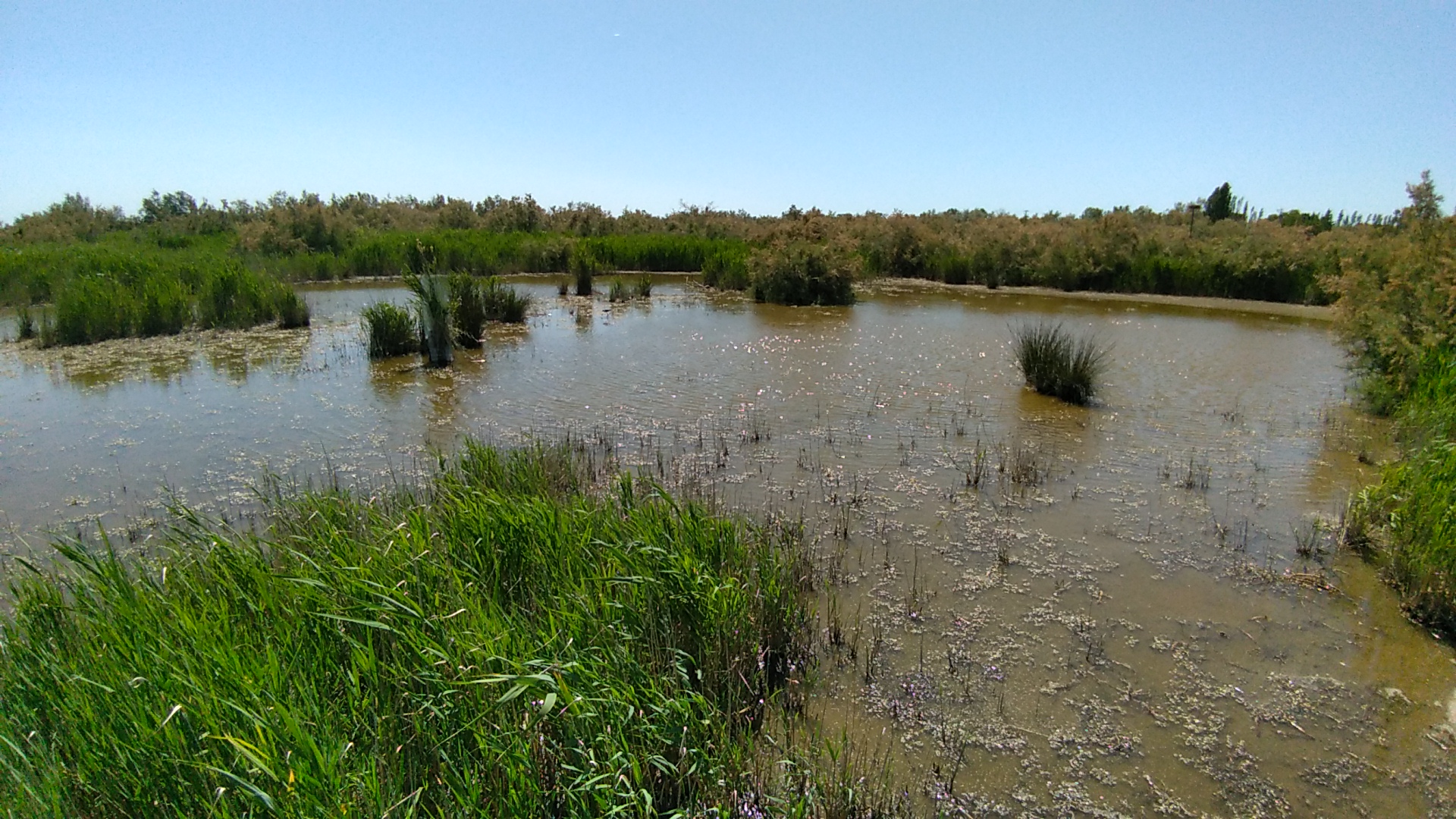 Photo n° 4 de l'avis de greg. fait le 05/06/2019 à 14:42