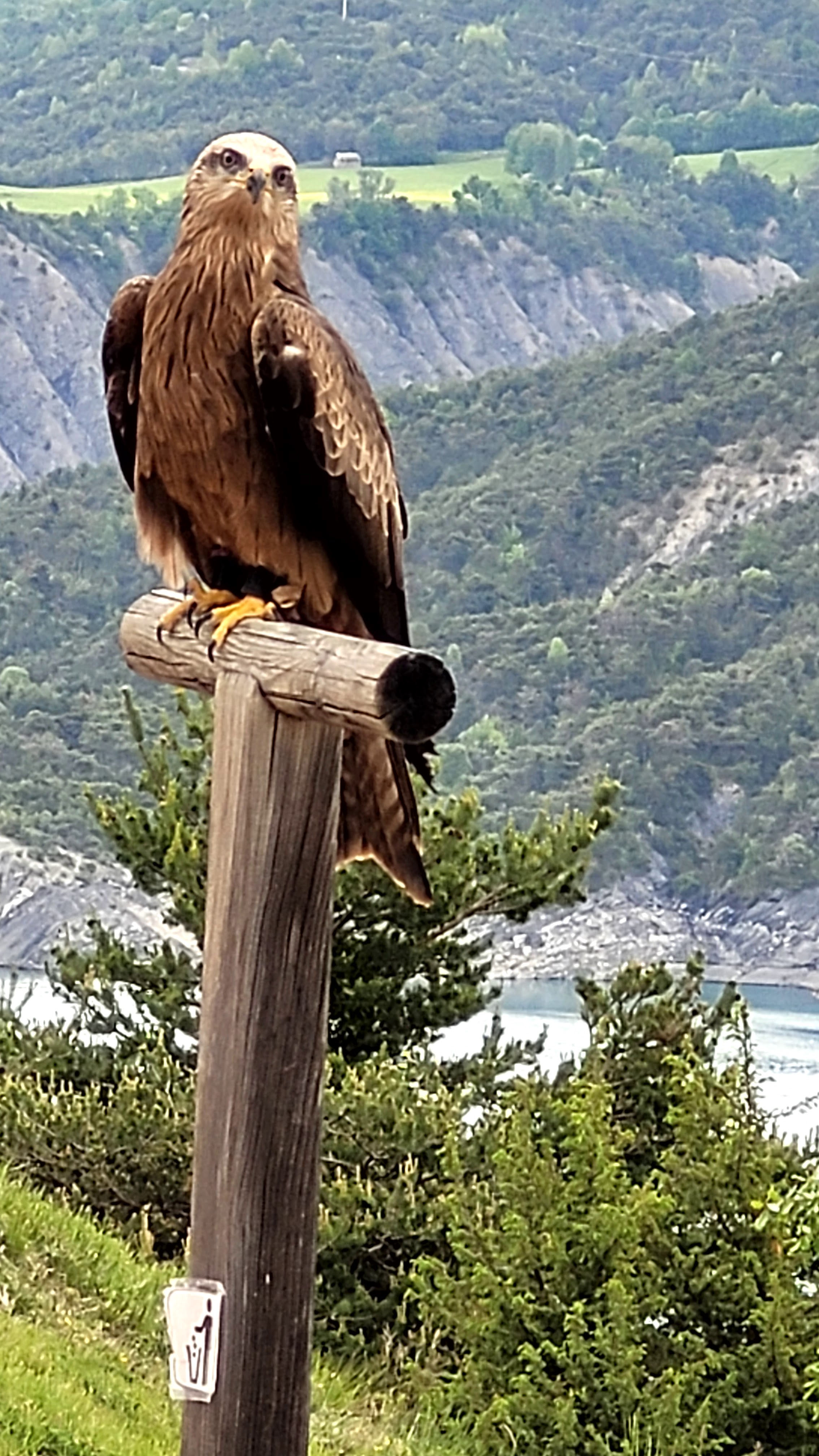 Photo n° 14 de l'avis de PASSIONS.O fait le 24/05/2023 à 09:56