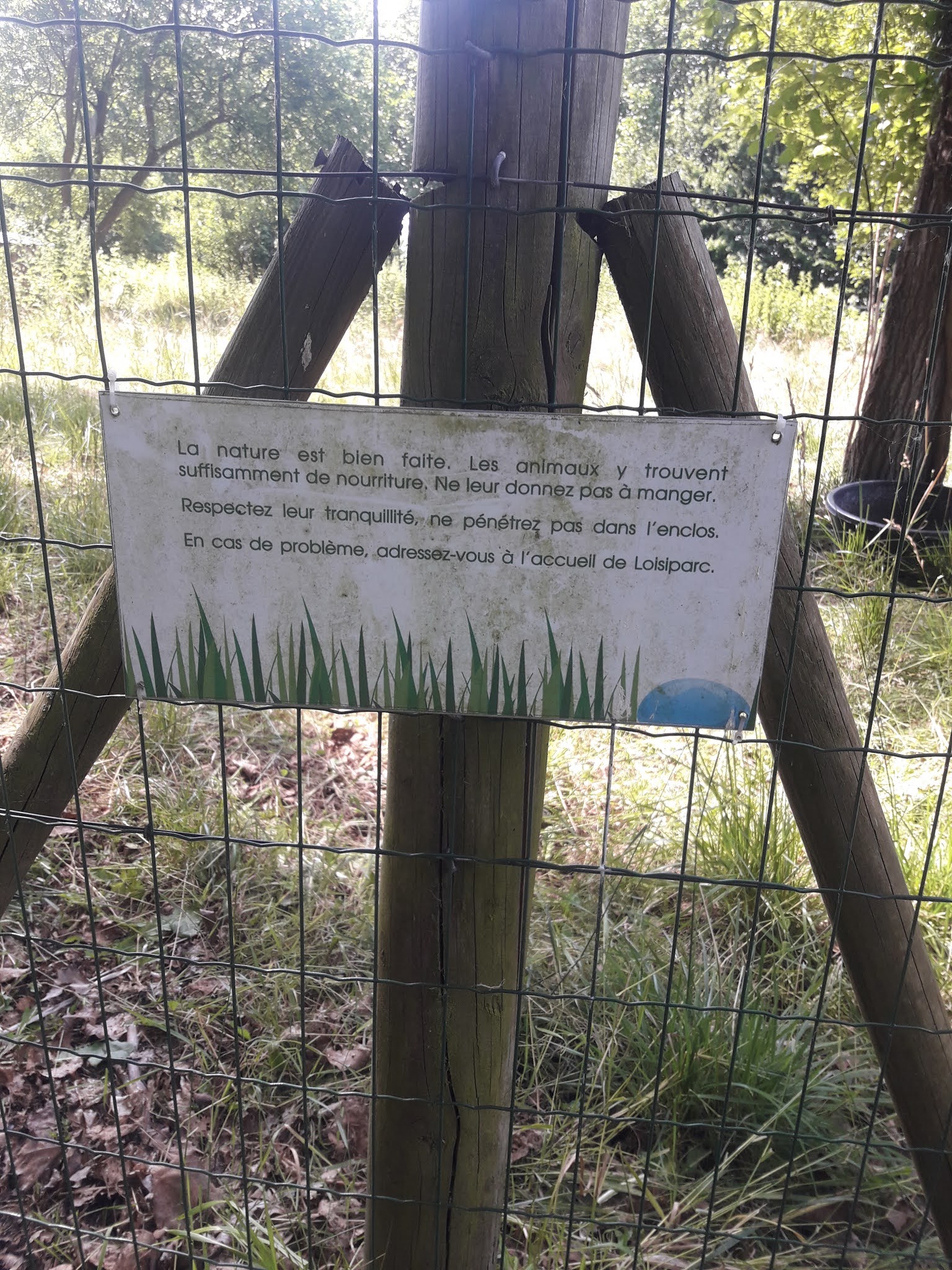 Photo n° 1 de l'avis de nordine.e fait le 17/07/2021 à 17:17