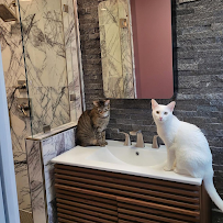 Kate Decor - Photo 5 - Car repair in , Fort Worth