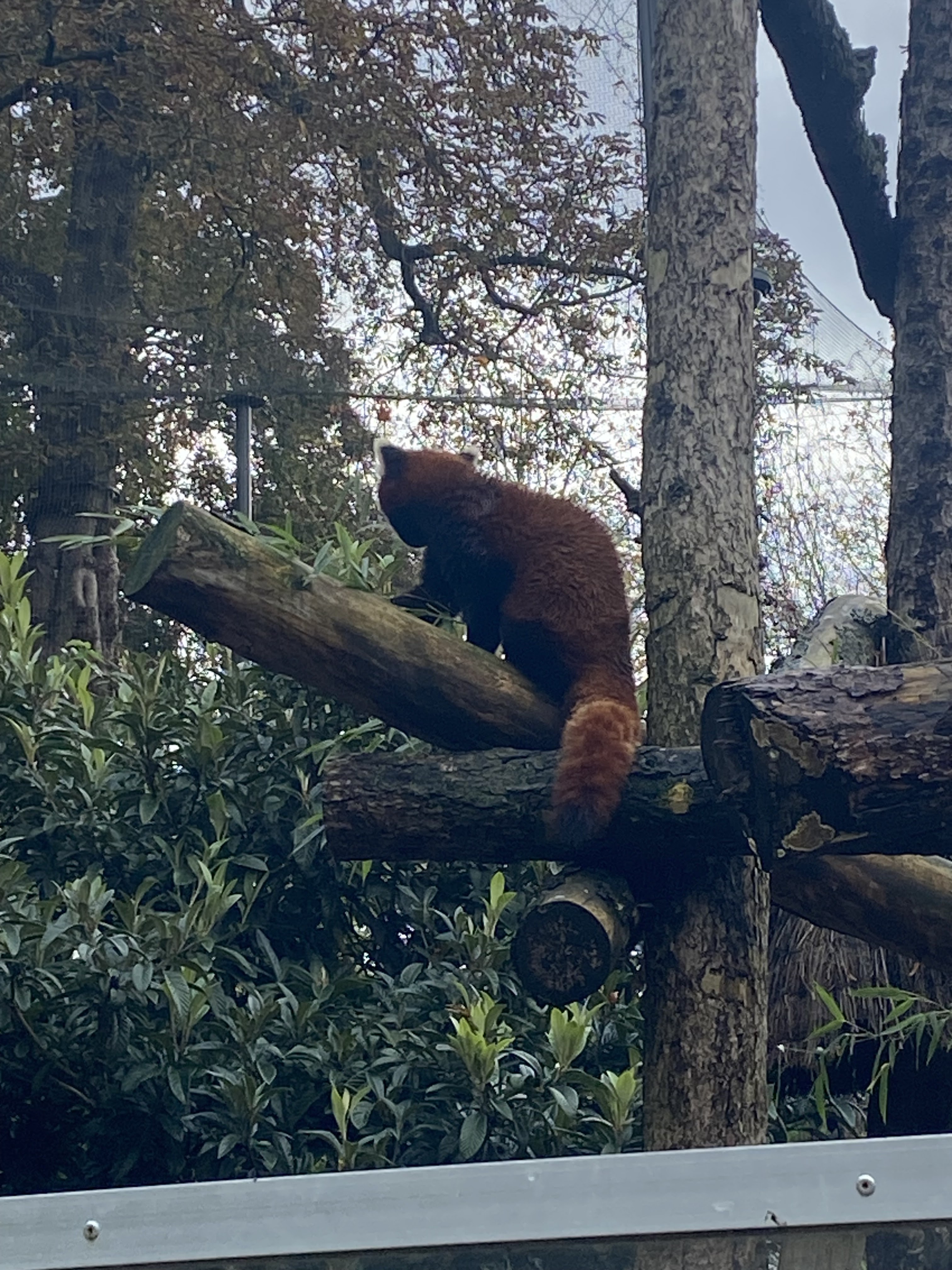 Photo n° 2 de l'avis de Elsa. fait le 05/11/2023 à 19:27