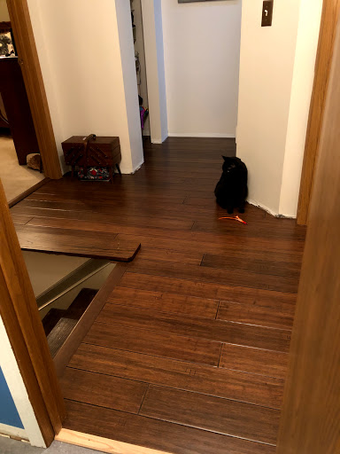 Flooring Store «Lumber Liquidators, Inc.», reviews and photos, 2736 Brice Rd, Reynoldsburg, OH 43068, USA