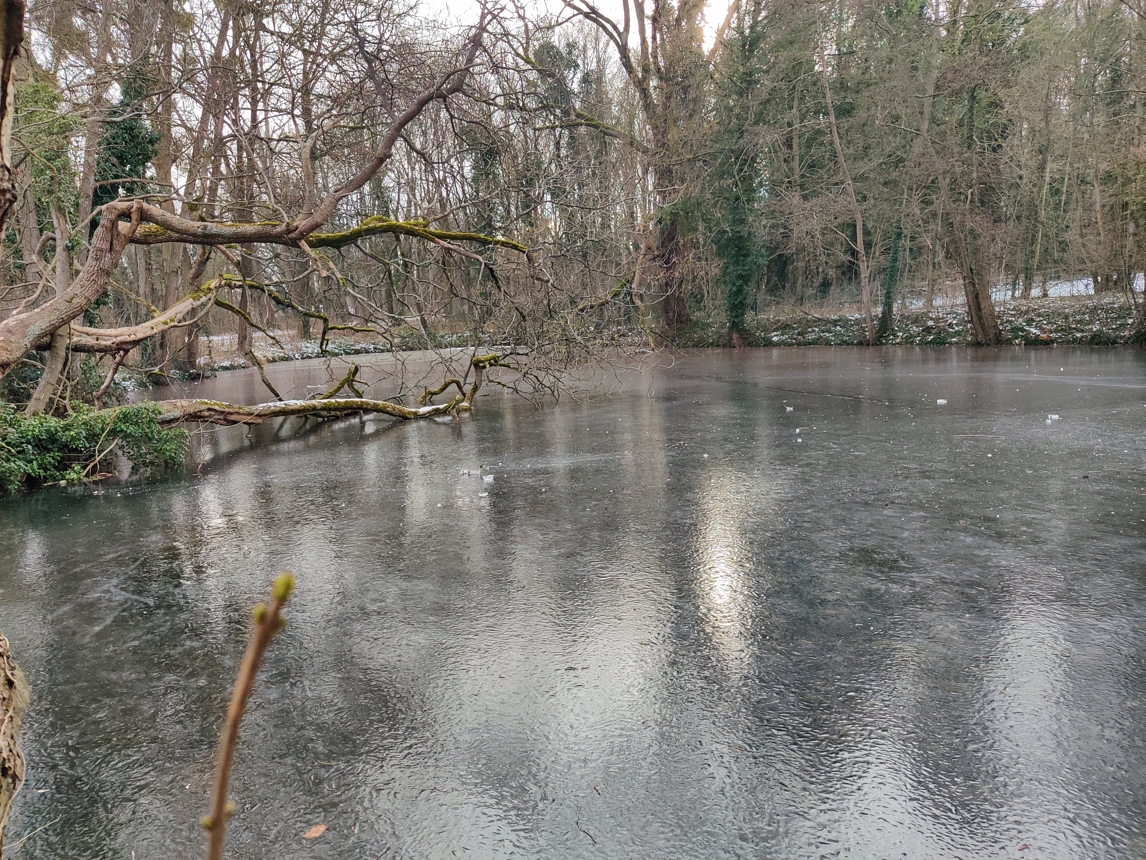 Photo n° 2 de l'avis de Cori.n fait le 15/02/2021 à 12:05
