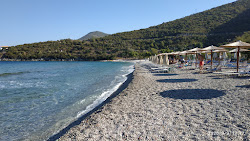Paralia Tigani'in fotoğrafı imkanlar alanı