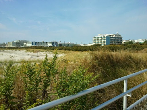 Park «Centennial Park», reviews and photos, 6503 Ocean Ave, Wildwood Crest, NJ 08260, USA