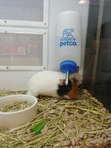 Pet Supply Store «Petco Animal Supplies», reviews and photos, 1370 Holiday Ln a, Fairfield, CA 94533, USA