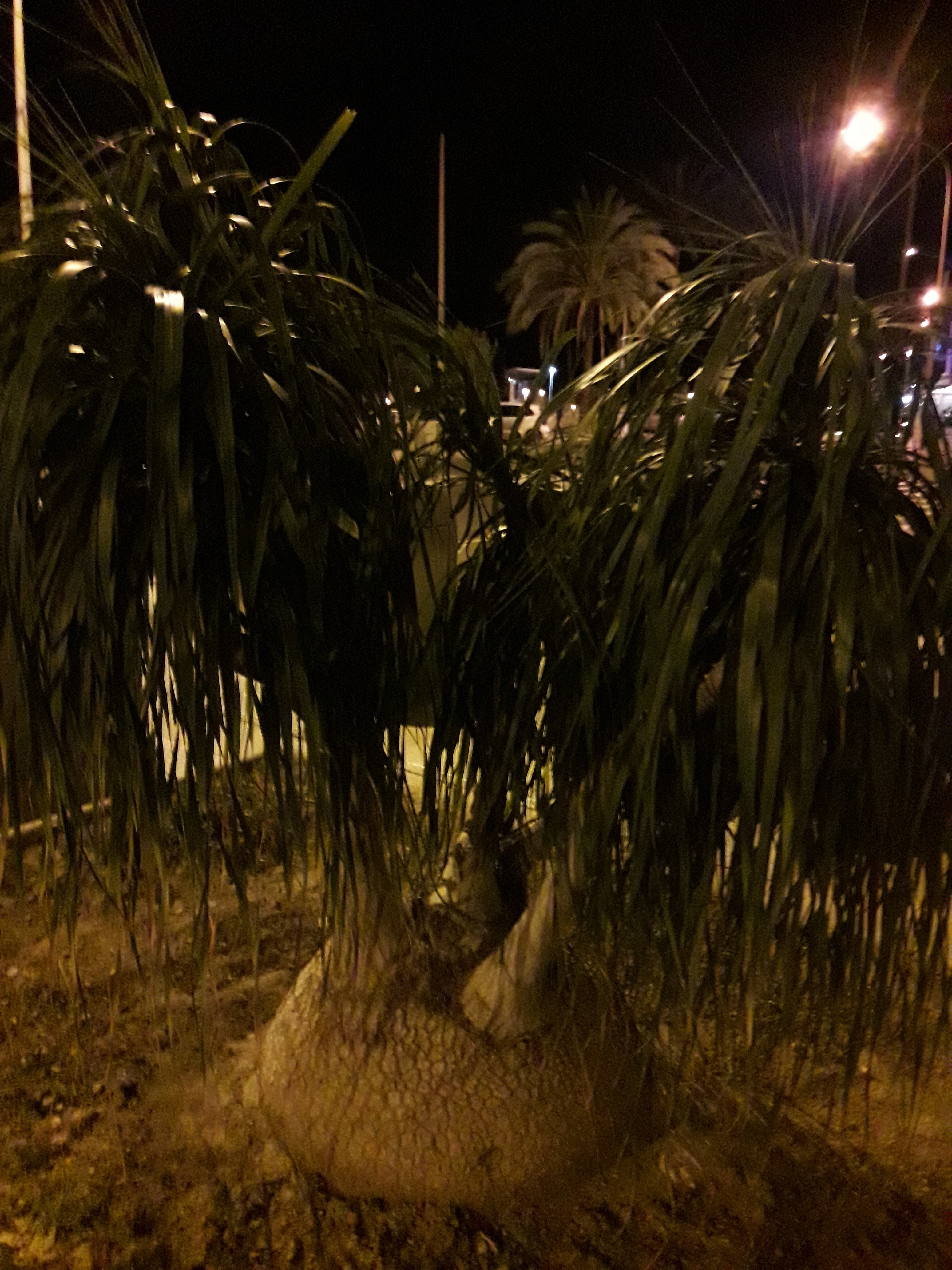 Photo n° 15 de l'avis de Stefe. fait le 25/02/2018 à 00:05