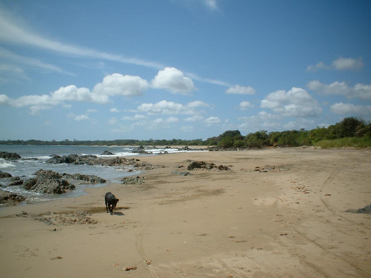 Lagart Point Beach photo #9