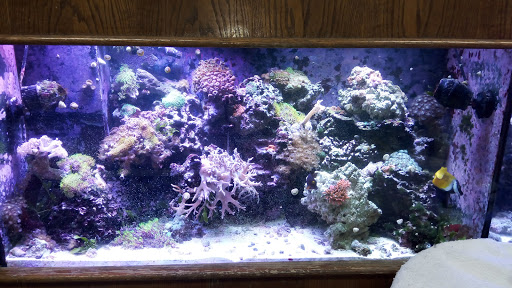 Pet Store «Valley Pets», reviews and photos, 6380 US-85, Fountain, CO 80817, USA