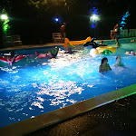 Photo n°2 de l'avis de Christian.a fait le 05/08/2018 à 00:32 sur le  704 Ristorante(Riservato ai Soci) à Rome