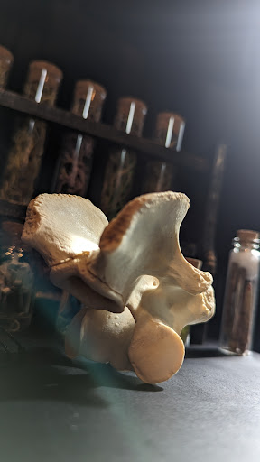 Explore tooled leather tattoo ideas, creative tattoo ideas in Castleton On Hudson, available at Dark Omen Tattoo