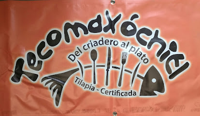 Restaurante Tecomaxochil - Cnel. Marcial Cortés 59, Tecorral, 43380 San Agustín Metzquititlán, Hgo., Mexico