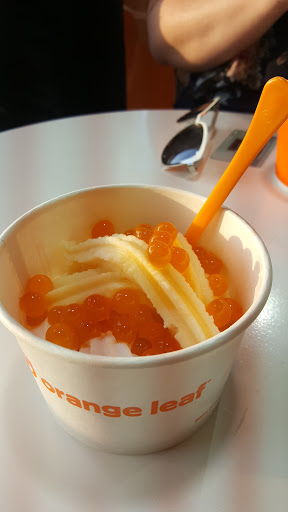 Ice Cream Shop «Orange Leaf Frozen Yogurt», reviews and photos, 119 SW Loop 410 #208, San Antonio, TX 78245, USA