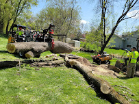 H&M Tree Service Inc - Photo 4 - Car repair in , Minneapolis