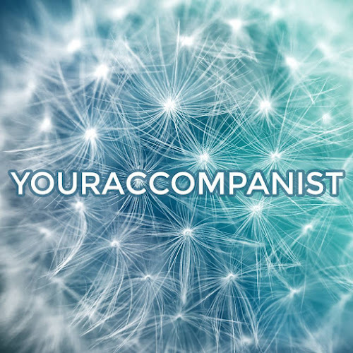 Reviews of YOURACCOMPANIST in Brighton - Music store