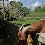 Photo n°3 de l'avis de Sarah.a fait le 10/05/2024 à 06:47 sur le  Tier-Erlebnispark Bell à Bell