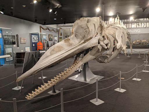 Museum «New Bedford Whaling Museum», reviews and photos, 18 Johnny Cake Hill, New Bedford, MA 02740, USA