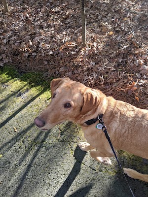South Arkansas Arboretum - photo 39