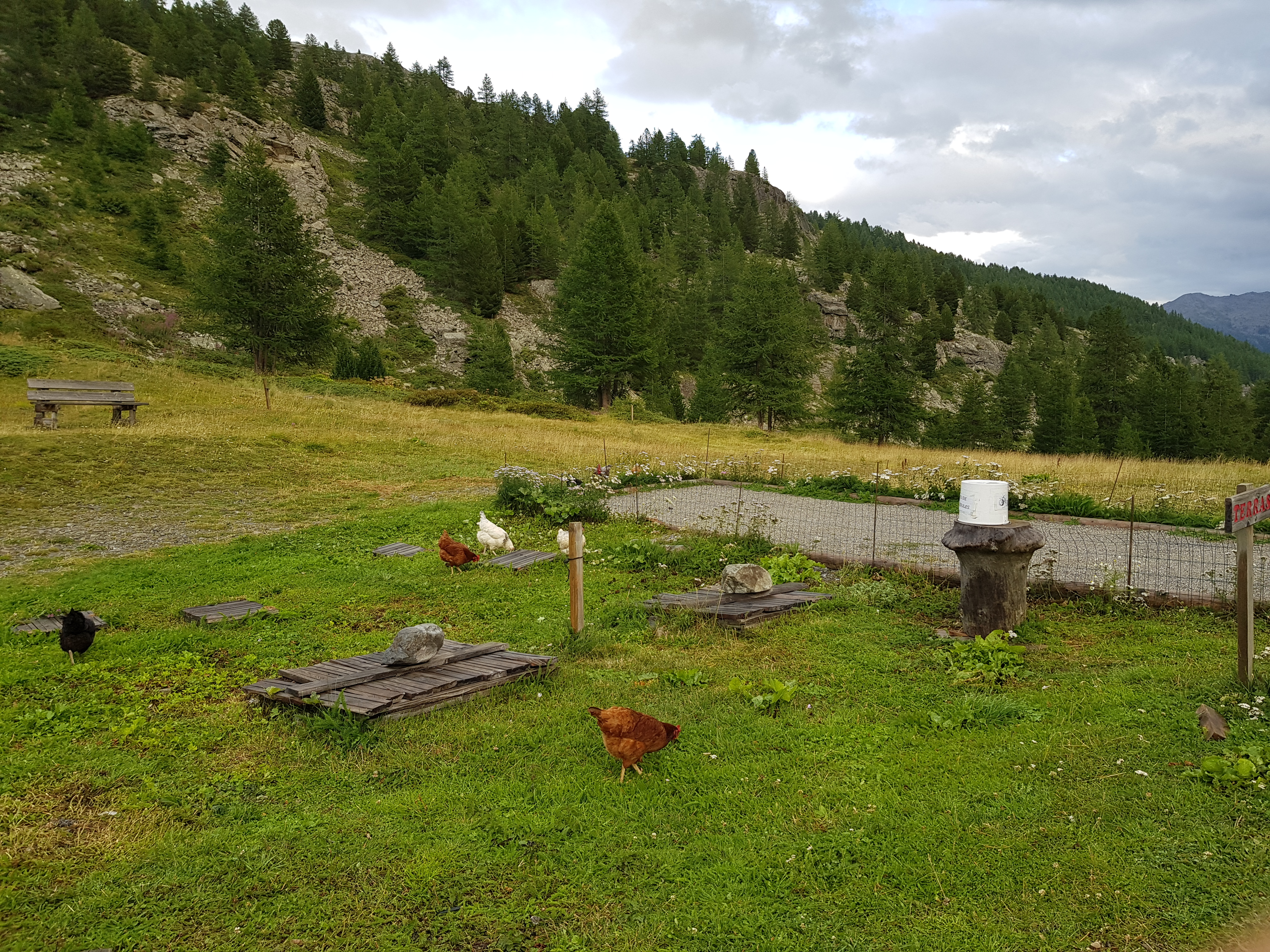 Photo n° 3 de l'avis de Z. fait le 28/08/2018 à 22:02