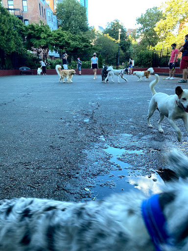 Park «Carleton Court Dog Park», reviews and photos, Southwest Corridor Path, Boston, MA 02116, USA