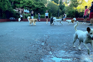 Carleton Court Dog Park