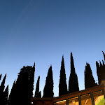 Photo n°2 de l'avis de gabriele.a fait le 16/03/2018 à 21:12 sur le  Botta Botta Fio Fio à Sesto Fiorentino