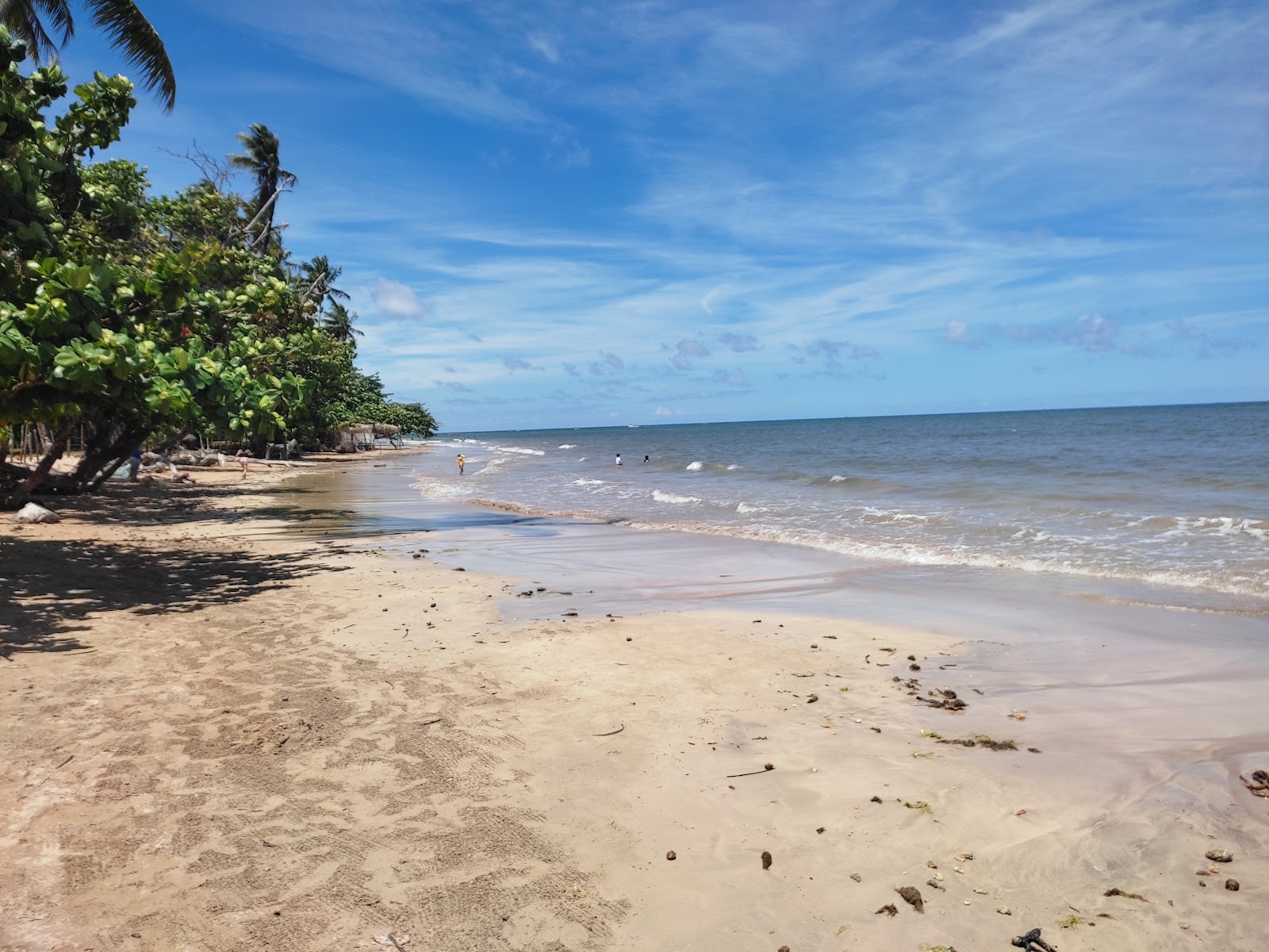 Photo de Praia de Tassimirim situé dans une zone naturelle