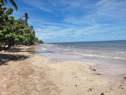 Photo de Praia de Tassimirim situé dans une zone naturelle