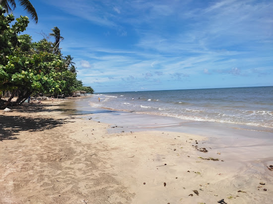 Praia de Tassimirim