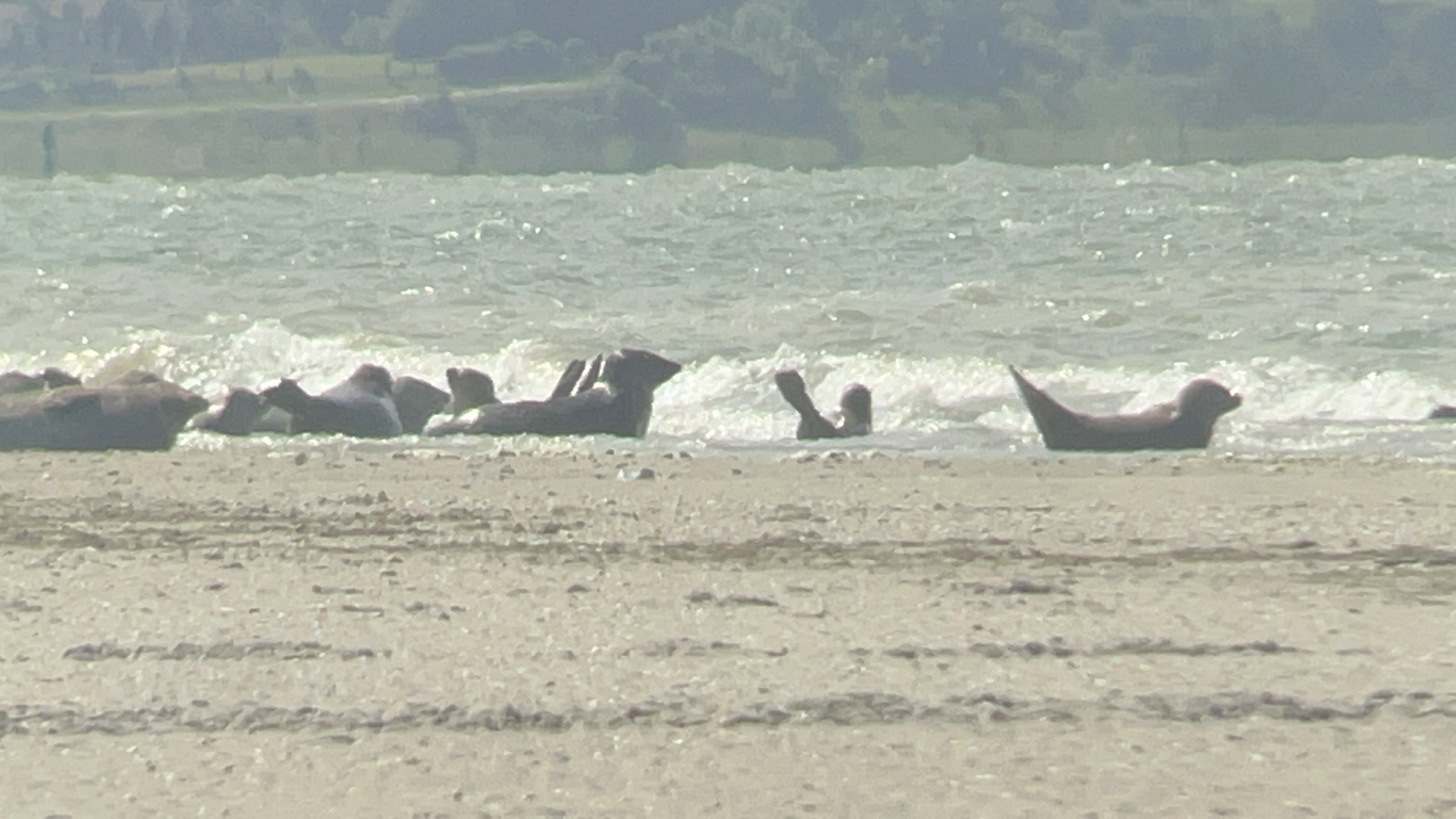 Photo n° 3 de l'avis de B.a fait le 27/06/2022 à 21:29