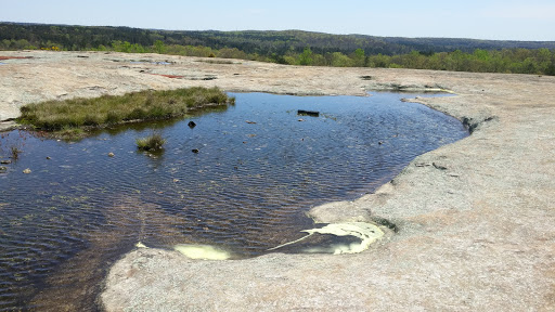 Nature Preserve «Davidson-Arabia Nature Preserve», reviews and photos, 3787 Klondike Rd, Lithonia, GA 30038, USA