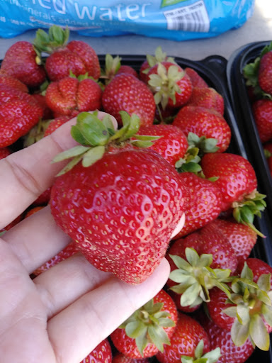 Produce Market «Boones Ferry Berry Farms», reviews and photos, 19602 NE Boones Ferry Rd, Hubbard, OR 97032, USA