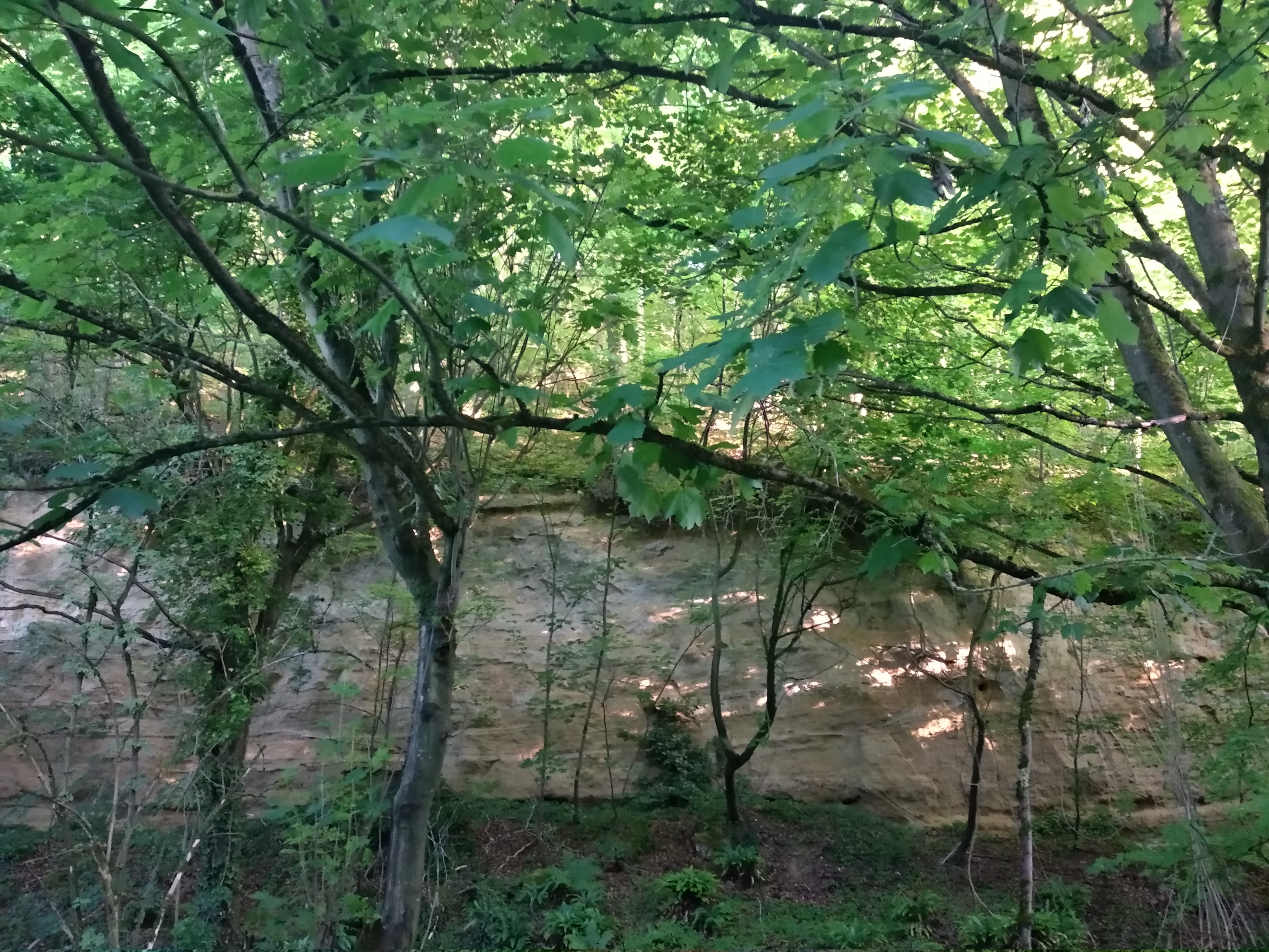 Photo n° 19 de l'avis de Taras.a fait le 17/06/2019 à 05:19