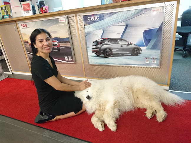 Oasis-Garage AG - Autohändler