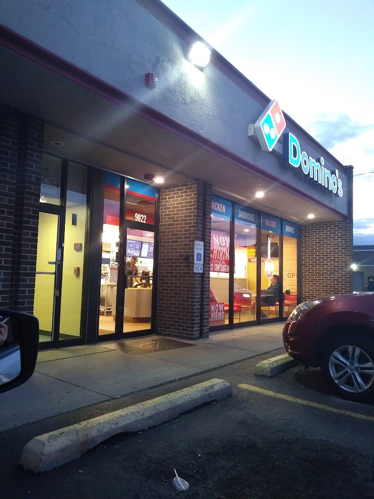 Domino's Pizza 60453