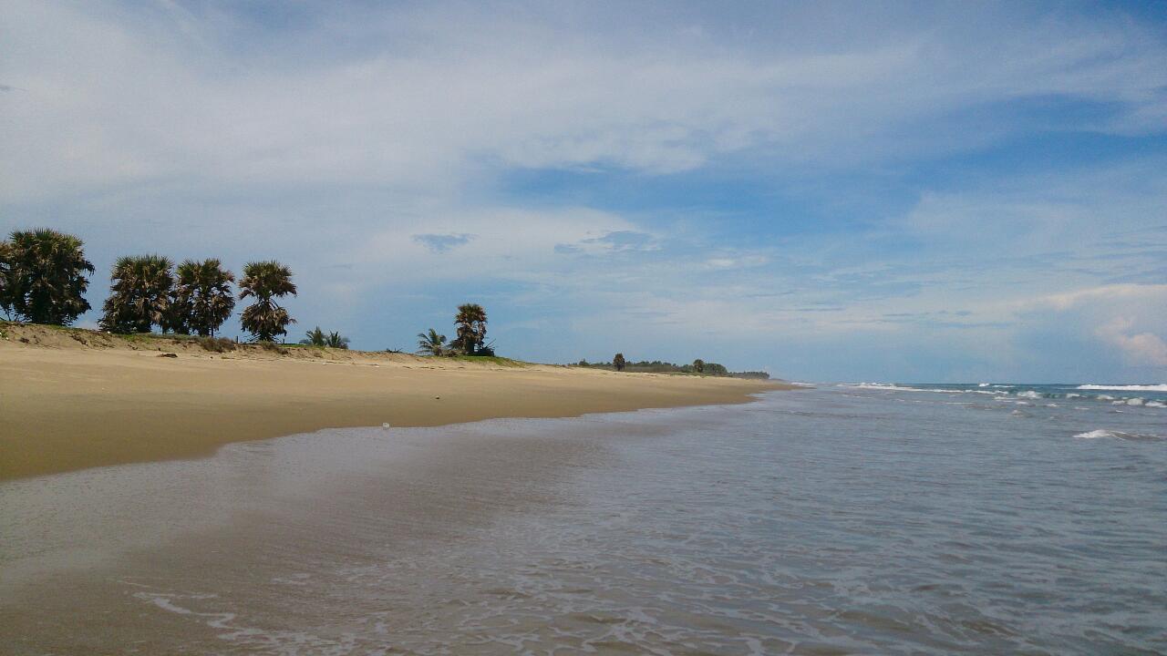 Kanathur Beach的照片 带有明亮的沙子表面