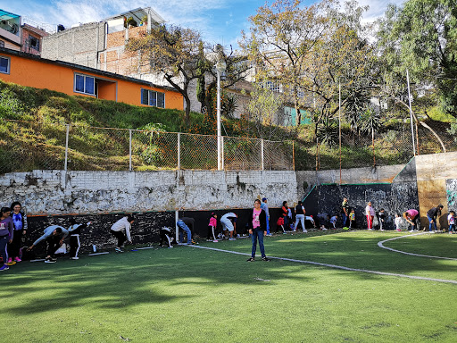 Cancha Izcalli Alfombrado